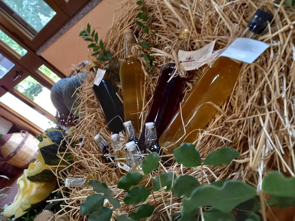 Farm stay Agriturismo Bachile Bertula Villa Riola Sardo Italy